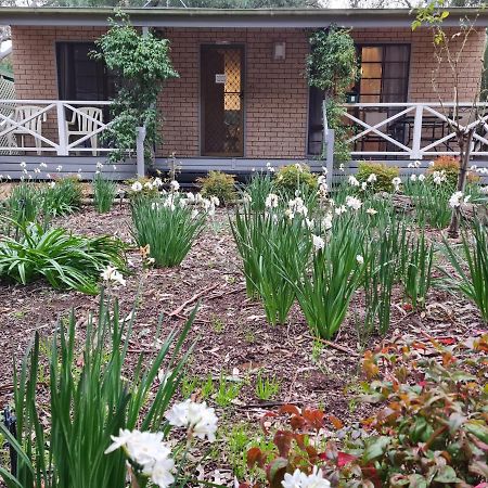 Barossa Country Cottages Lyndoch Εξωτερικό φωτογραφία